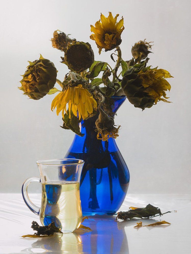 Подсолнухи