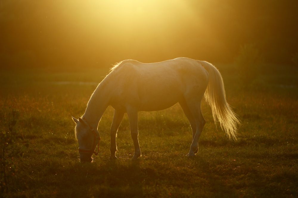 Photograph by Андрей
