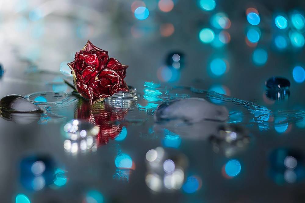 Photograph by Наталия Макарова