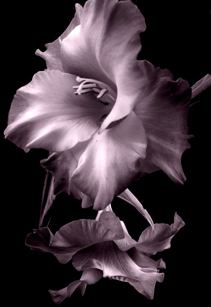 beautiful in the dark