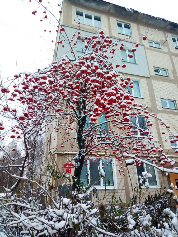 Осенний снег