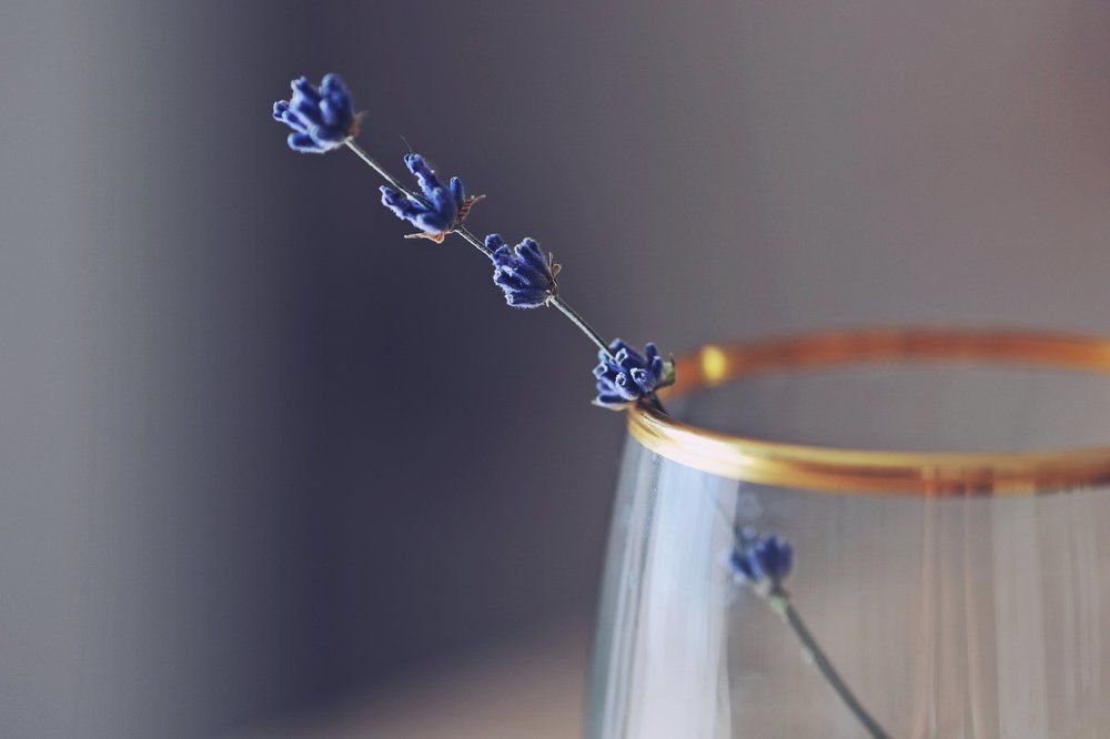 little big lavender