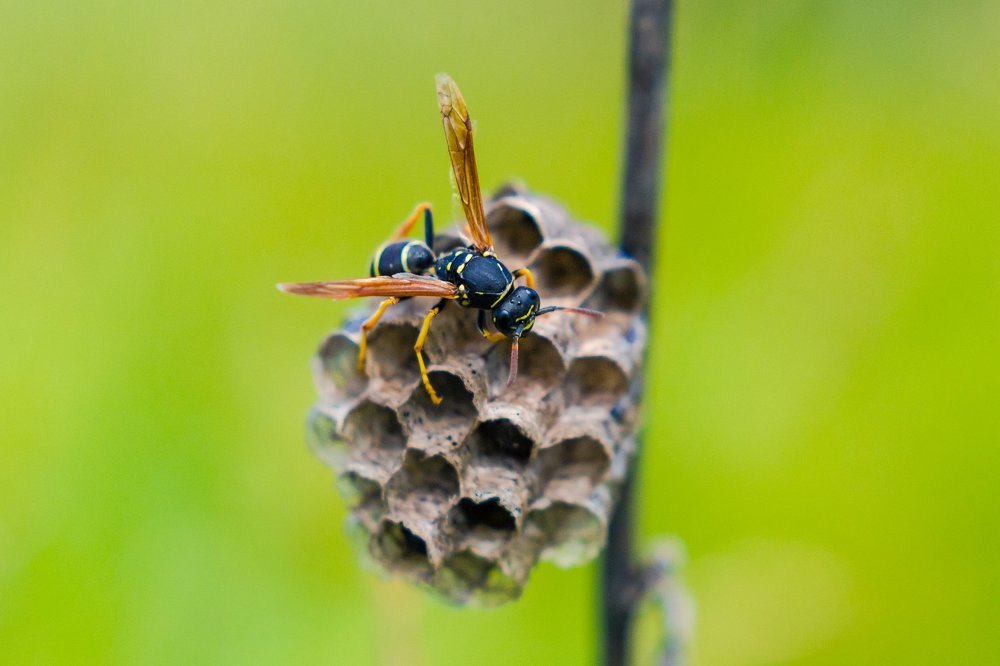 Photograph by Evgeny Pyatkov