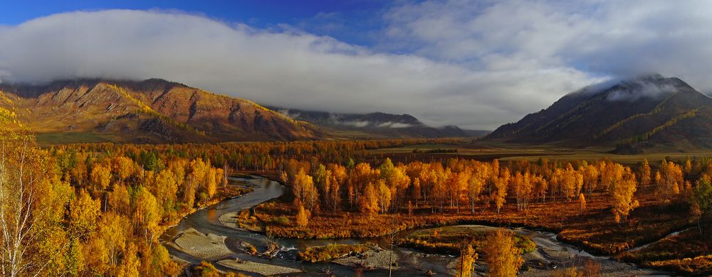 Золотой Алтай. Долина реки Чарыш.