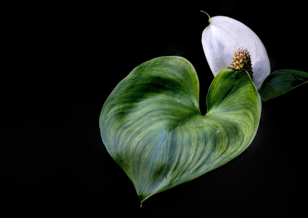 Photograph by Алексей Герасимов