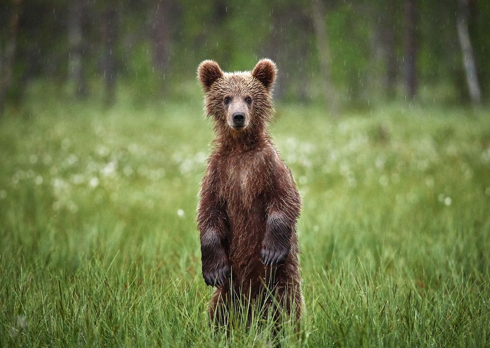 Я буду скучать по тебе!