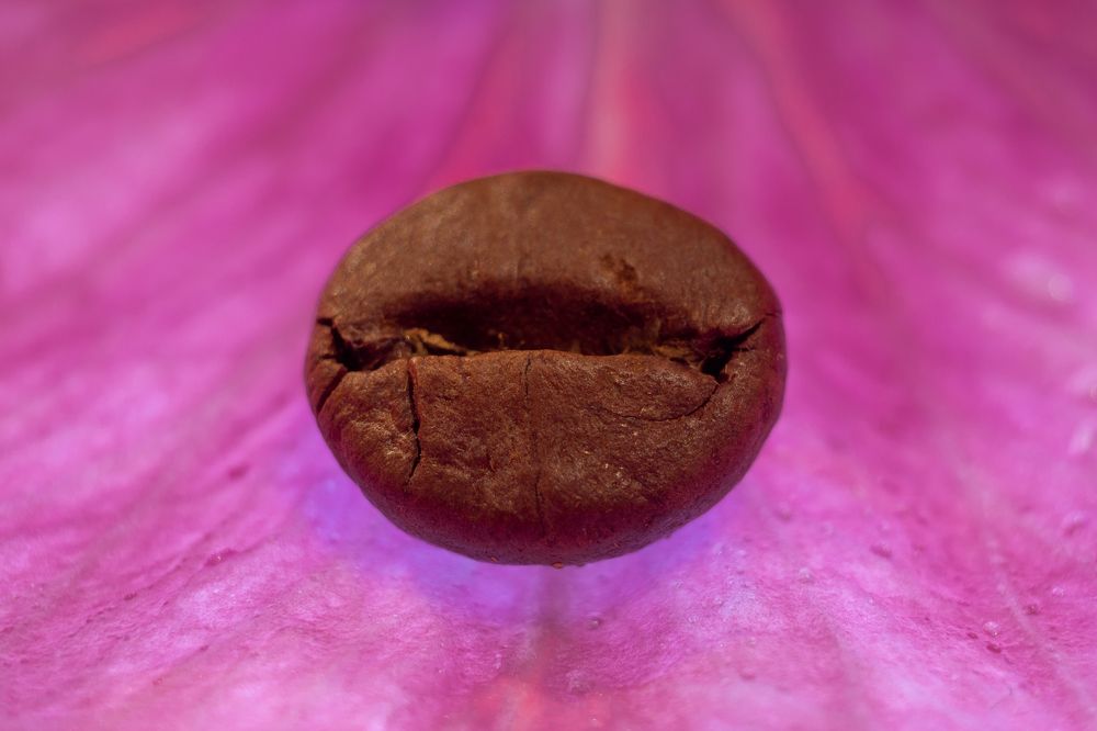 Photograph by Максим Митченко