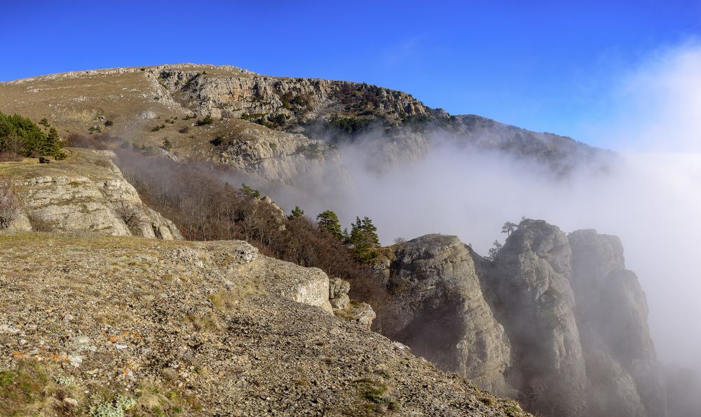 Photograph by Сергей Будаква