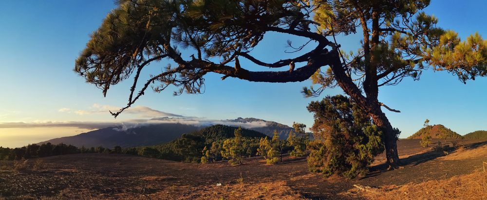 Photograph by Prometej