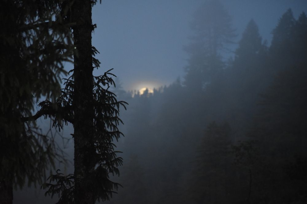 Rising sun in the mist