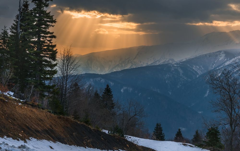 Лучи уходящей осени