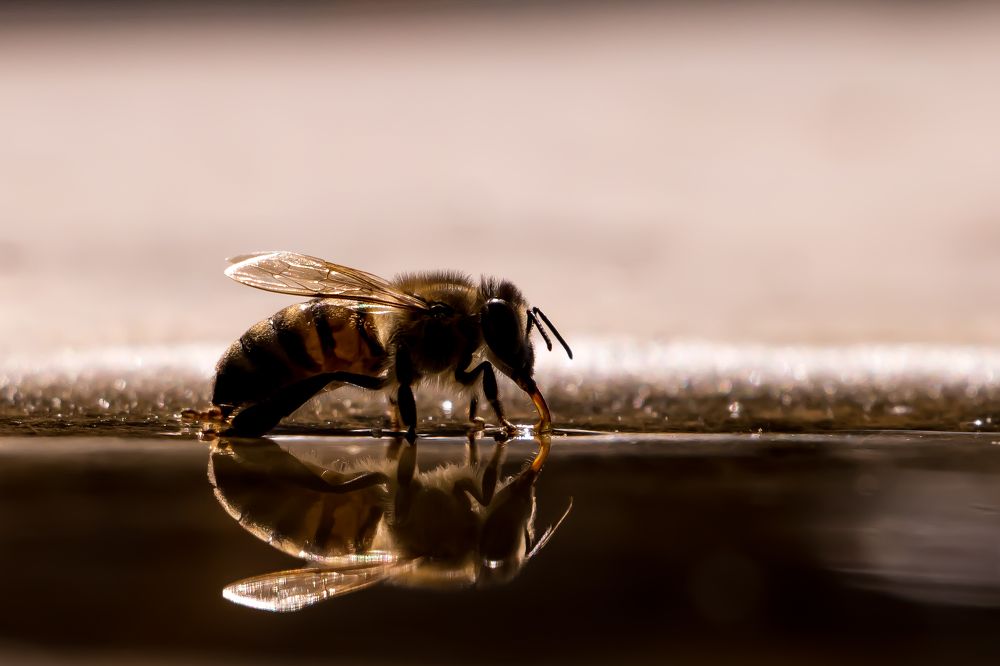 Отражение...