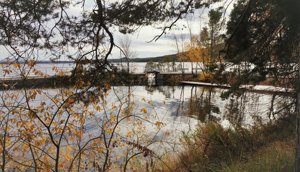 Боровое.  Осень