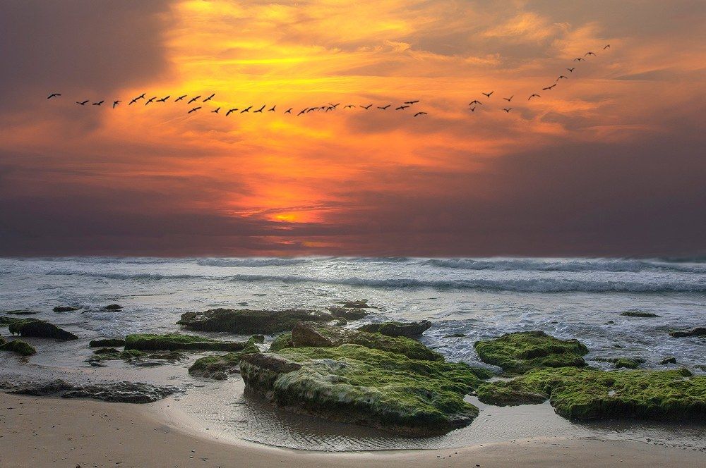 Photograph by Leonid Lan