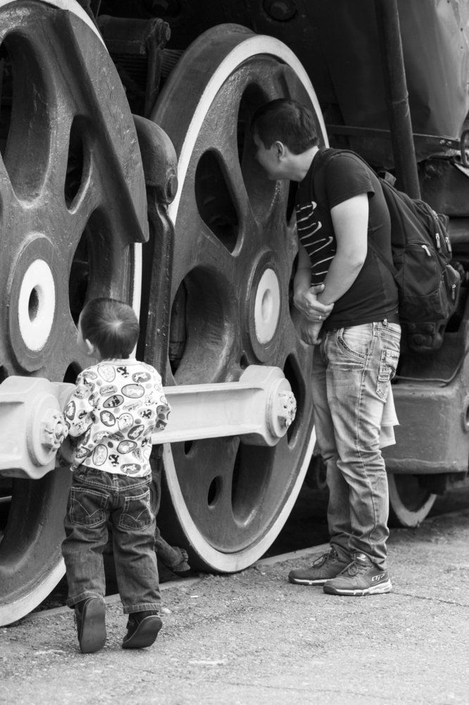 Наследственное любопытство