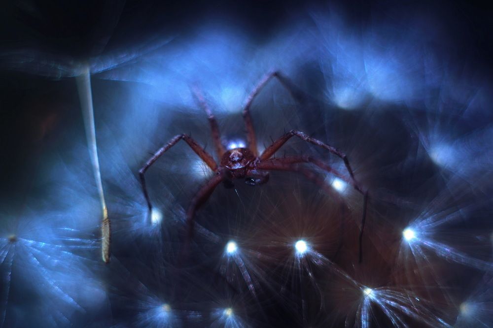 Повелитель неоновых огней