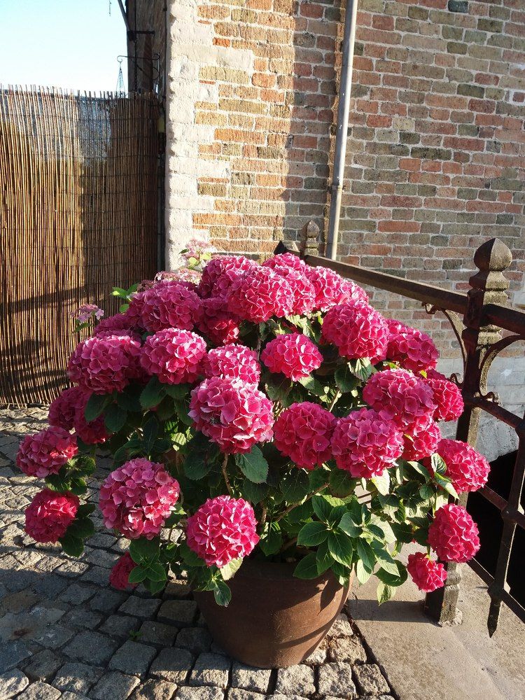 Photograph by оксана