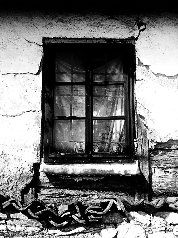 Window to the Past