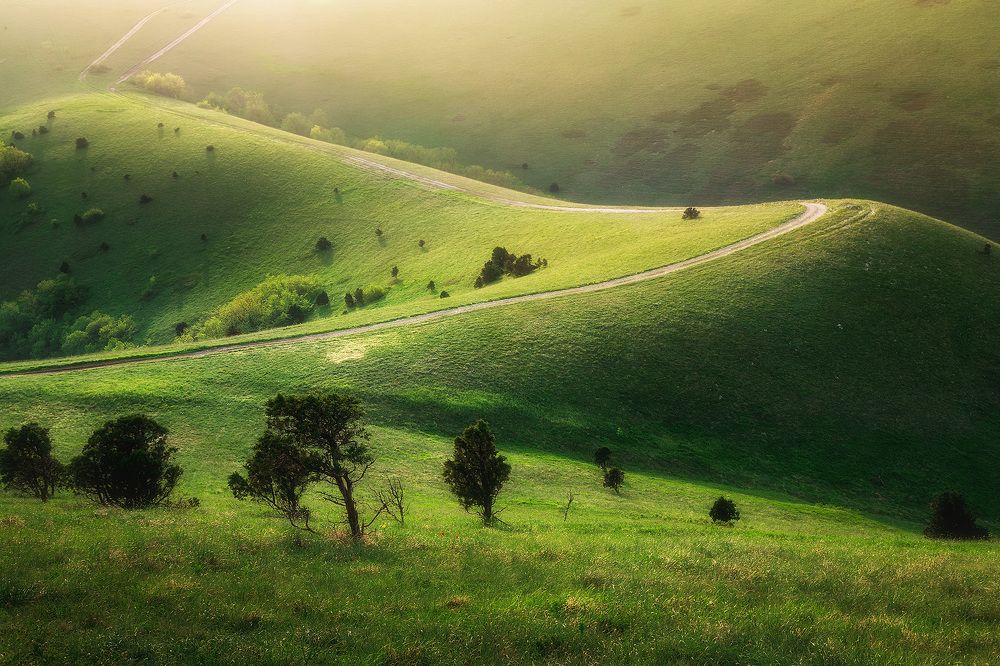 Краснодарский край