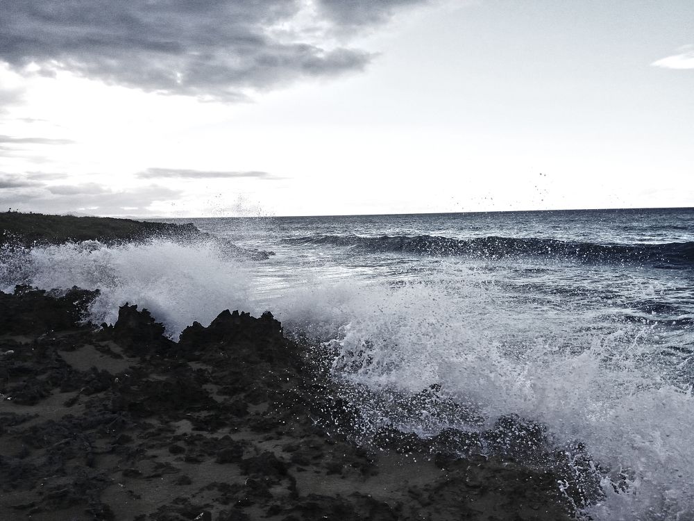 Dominican winter