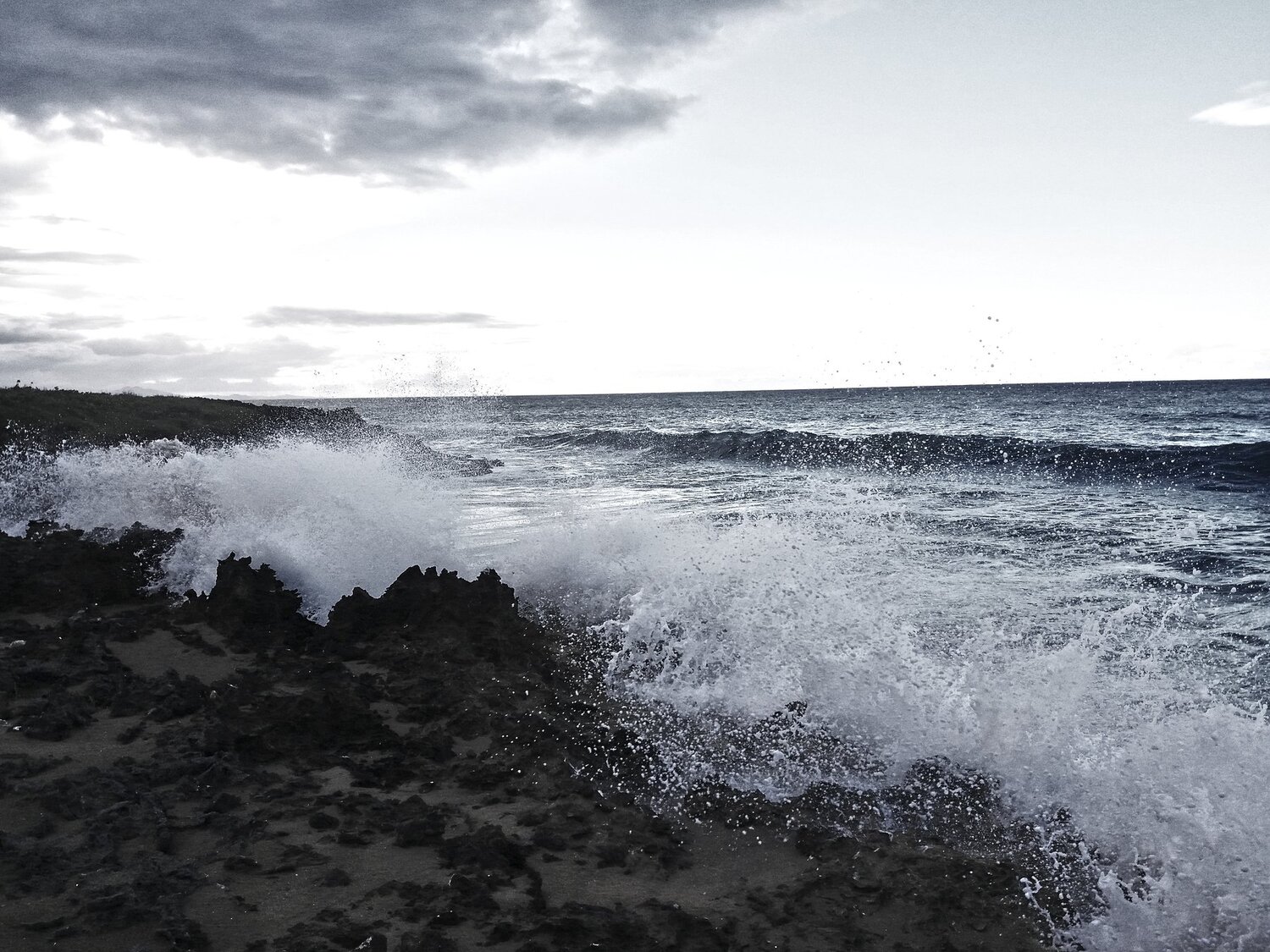 Dominican winter