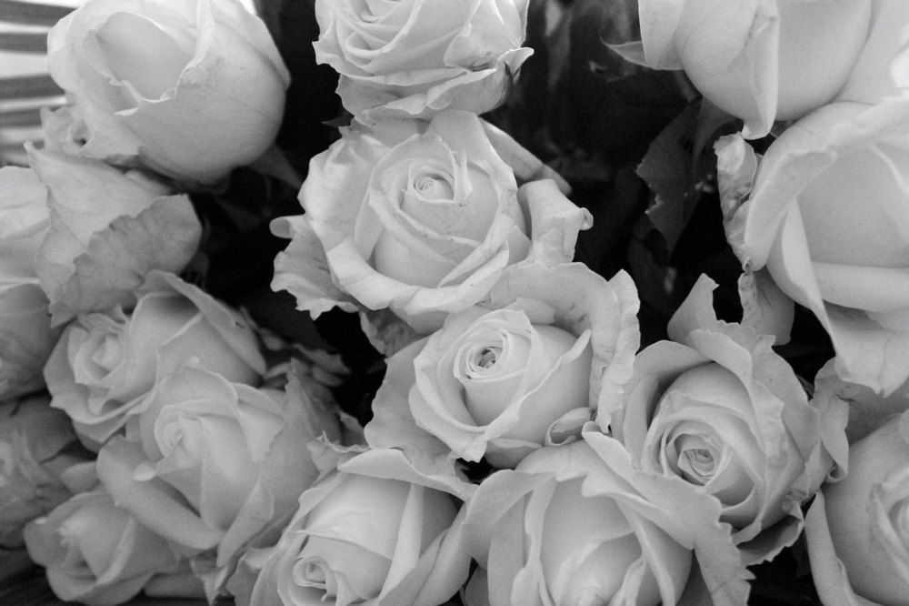 Красоту можно подметить во всем, виденье и составление красоты это то, что отделяет снимок от фотографии