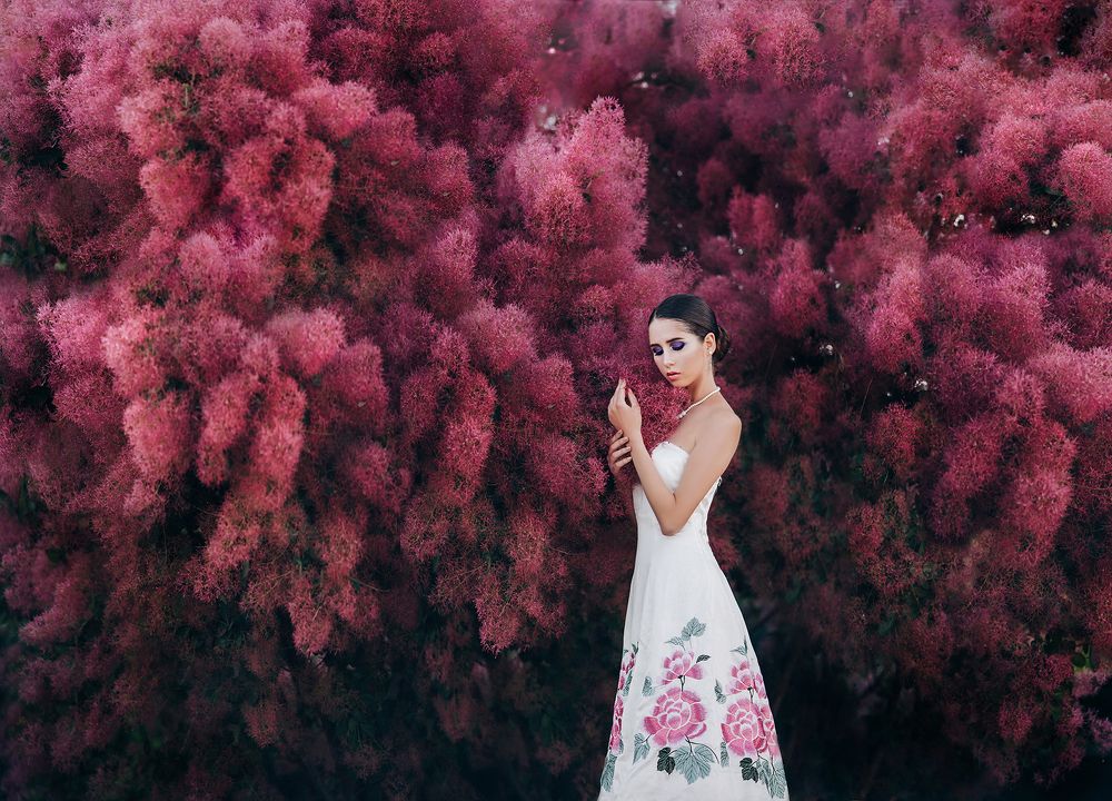 Розовые облака