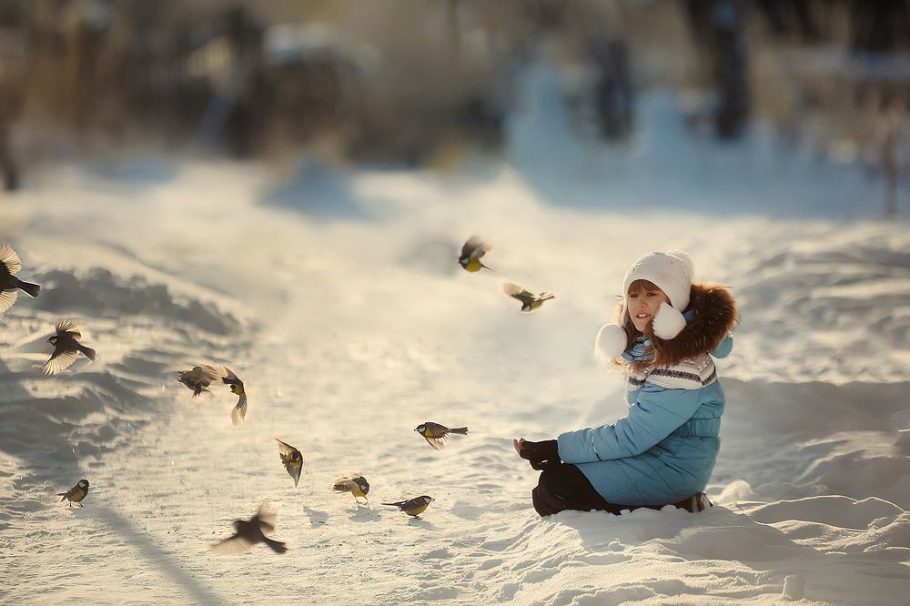 Живая кормушка