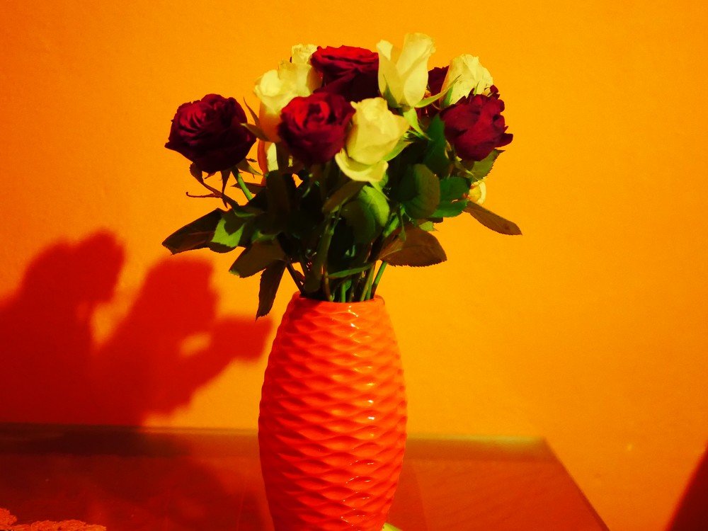 Vase with roses