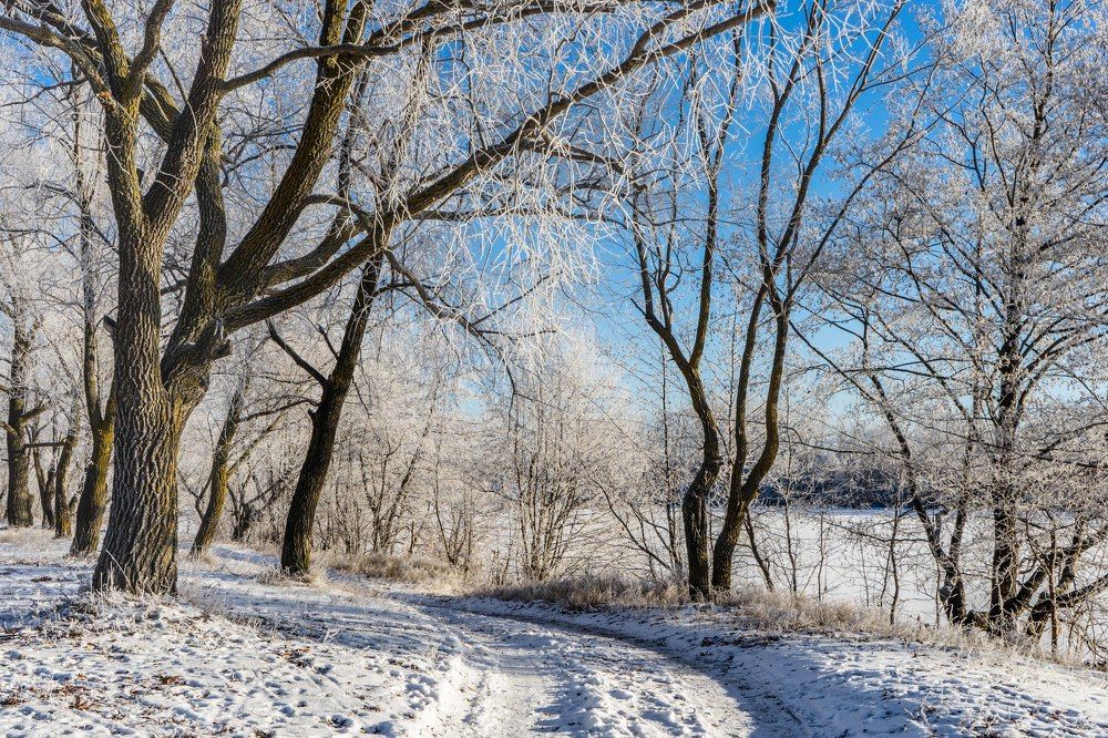 дорога в зиму
