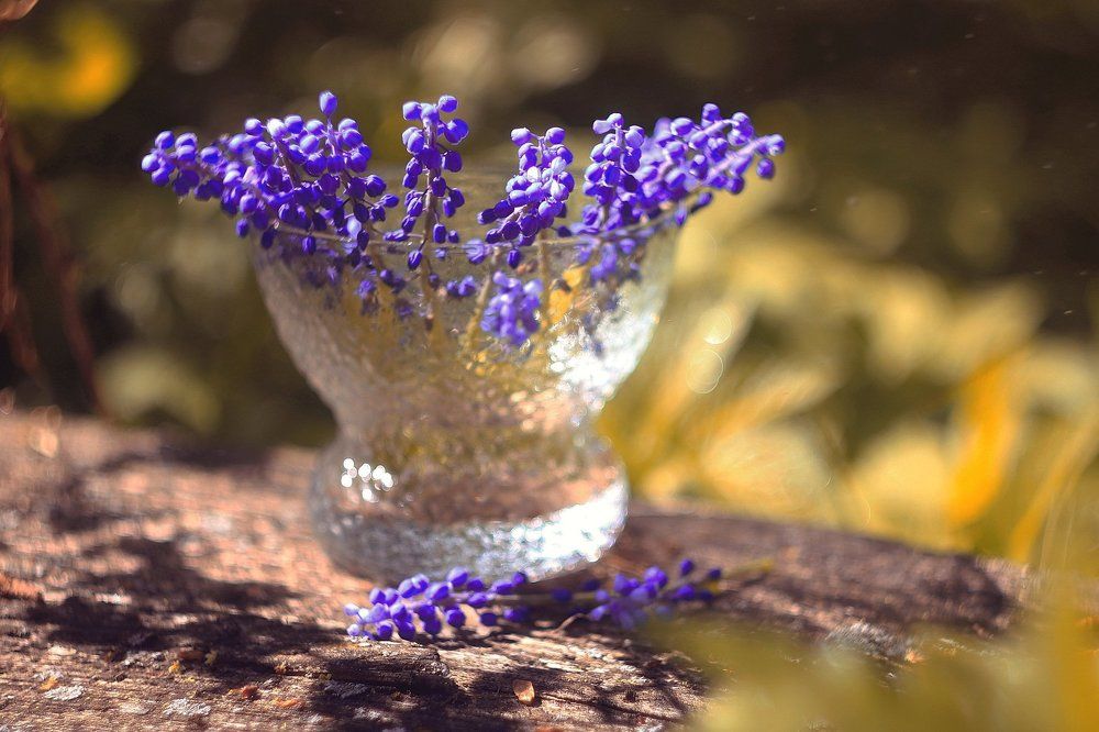 Мечты о весне