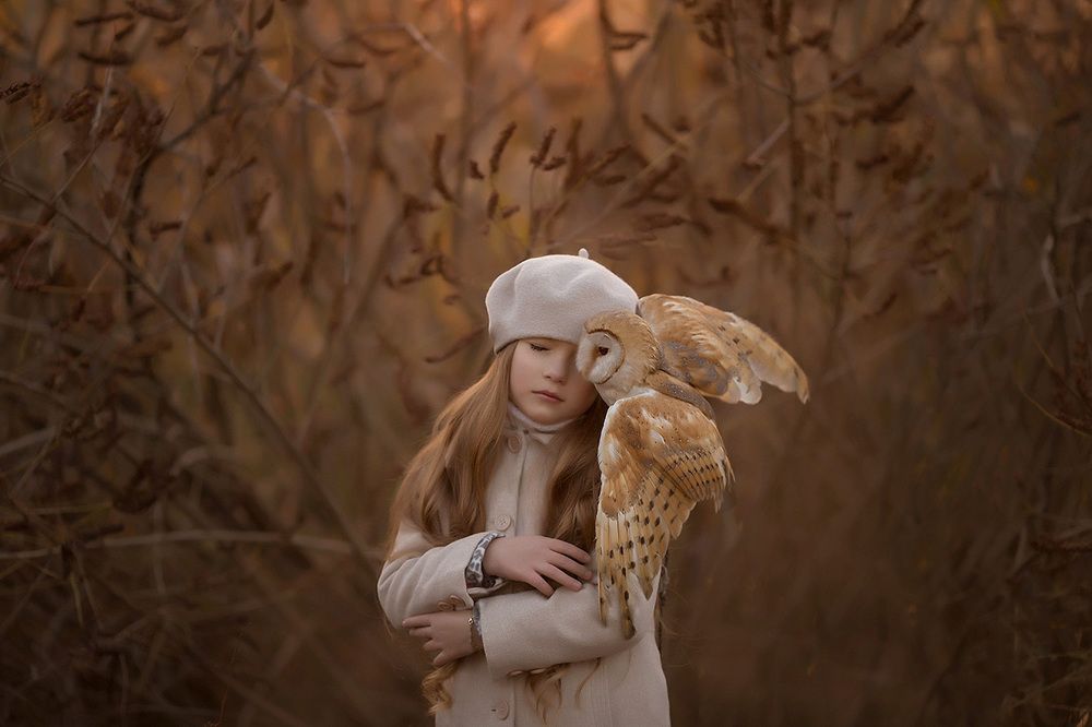 Под крылом защиты