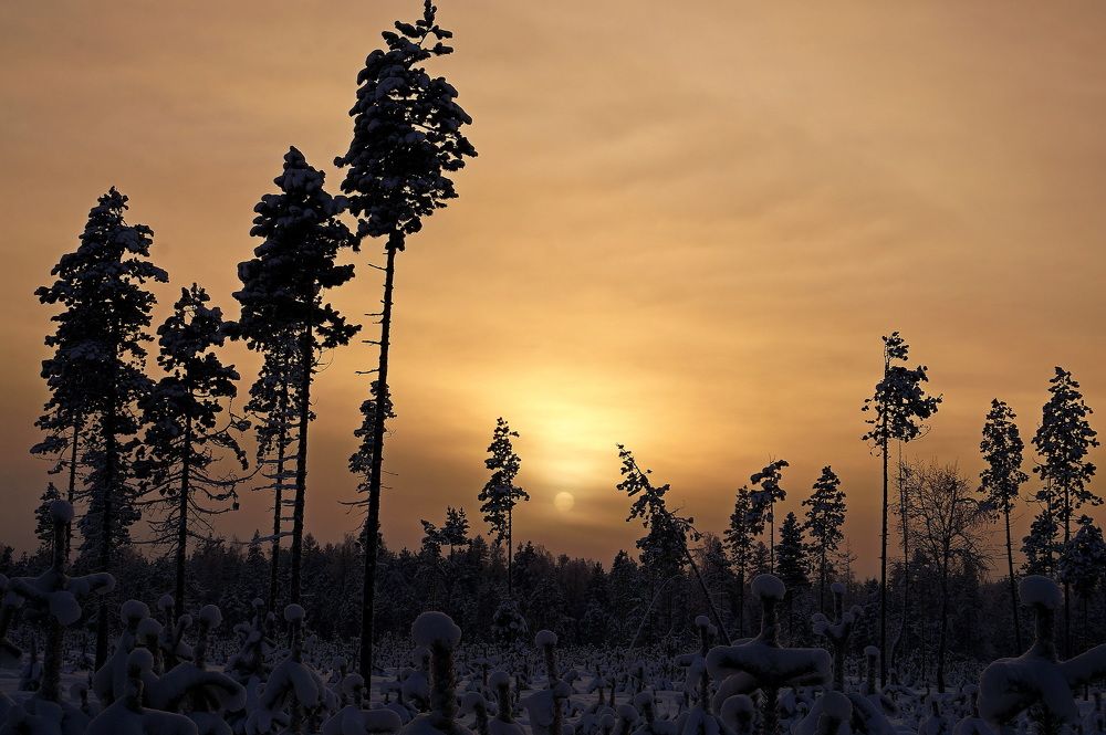 Рассвет - закат  на  Севере .