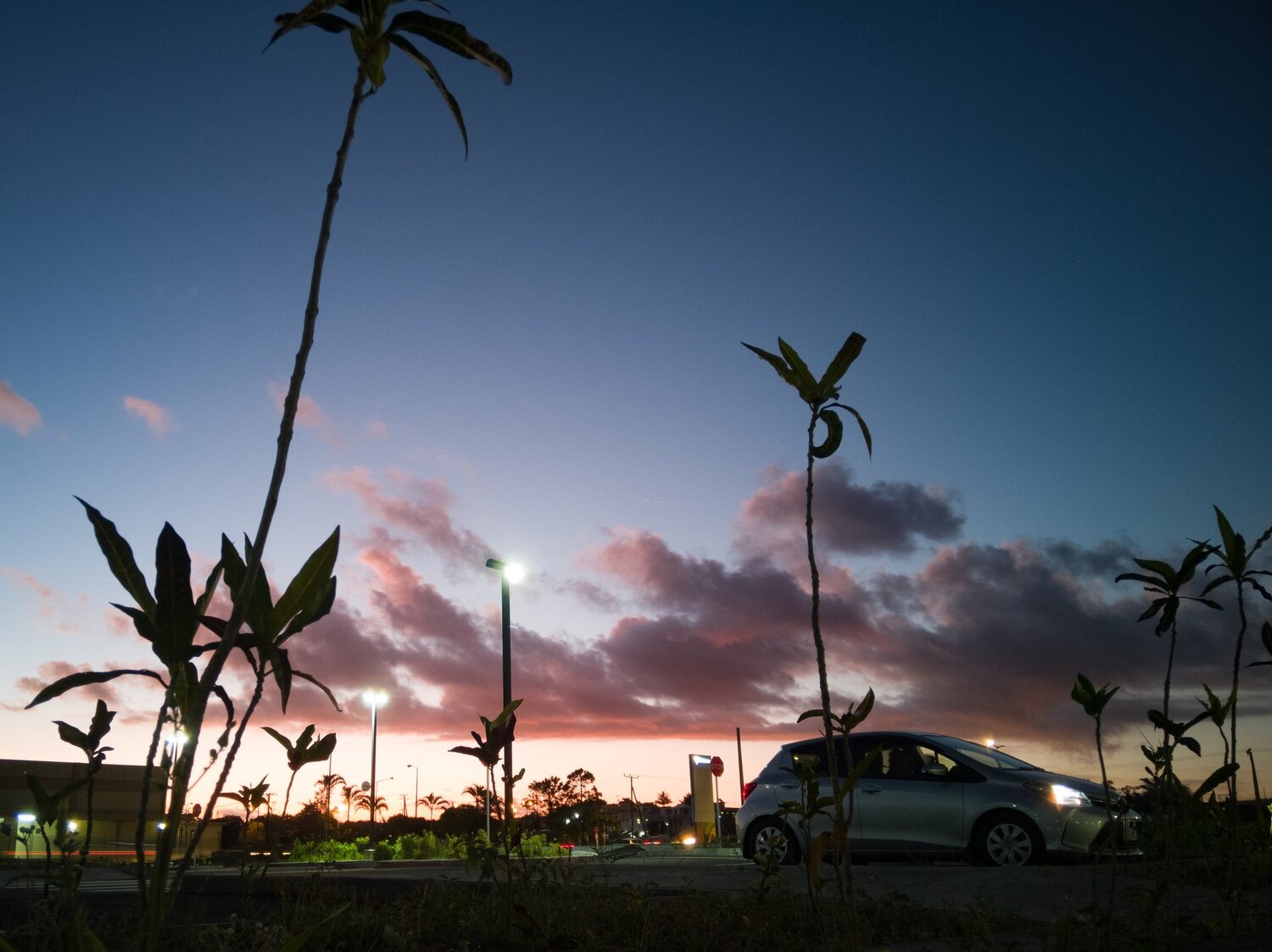 Landscape_night
