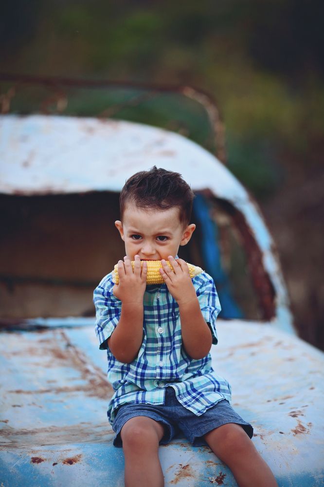 Чем бы заняться...
