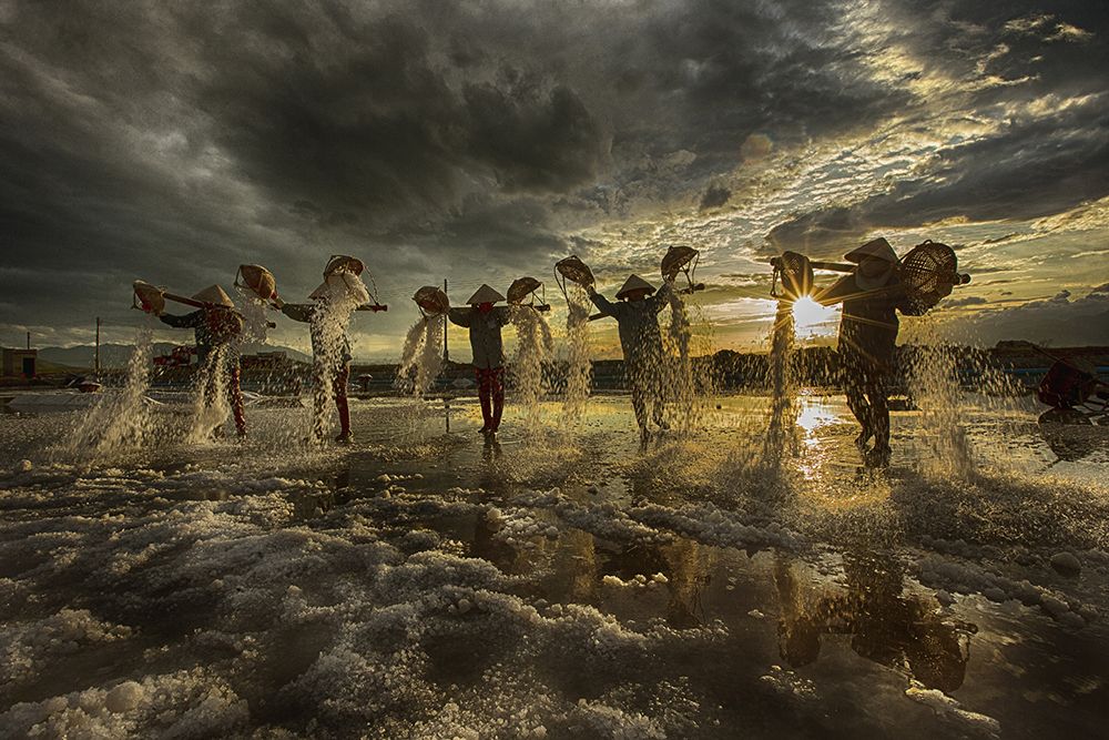 salt field worker 3295