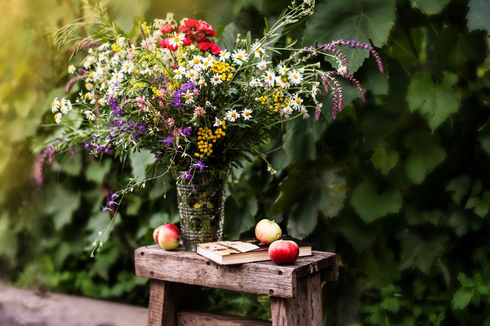 Полевые цветы