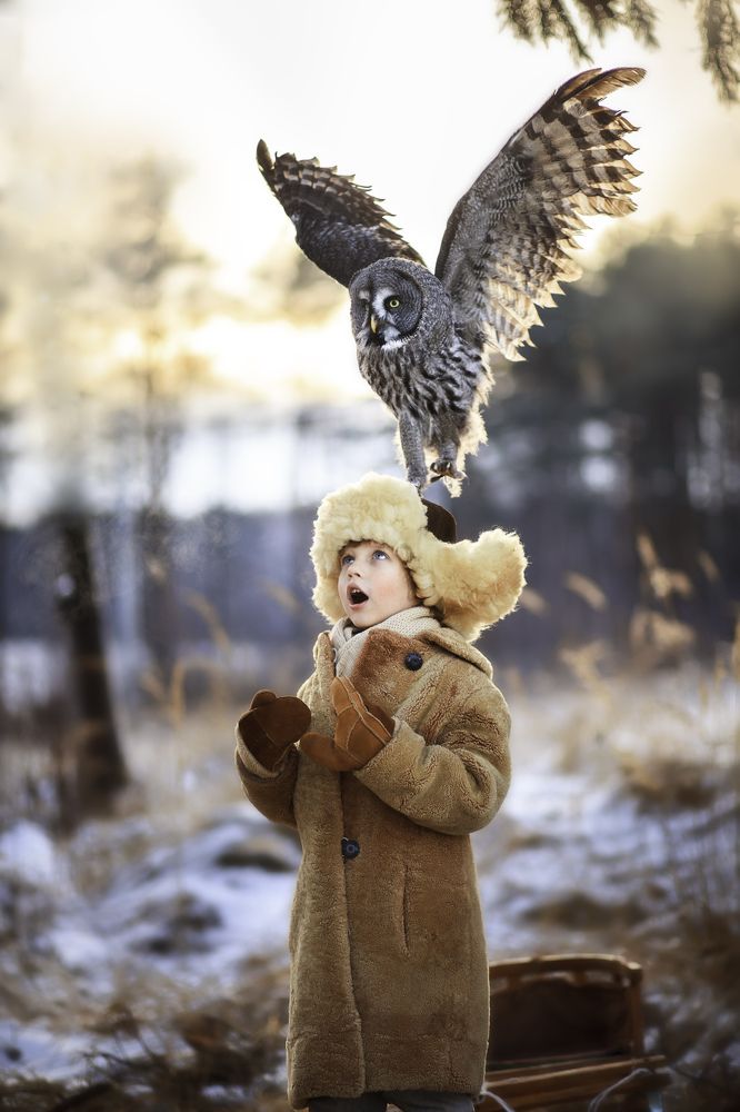 Однажды в лесу