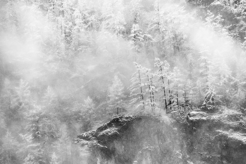 Майские метаморфозы Алтая.