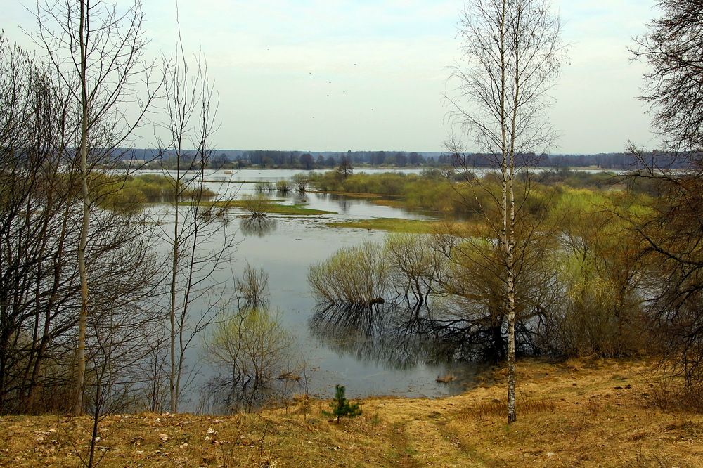 Пробуждение