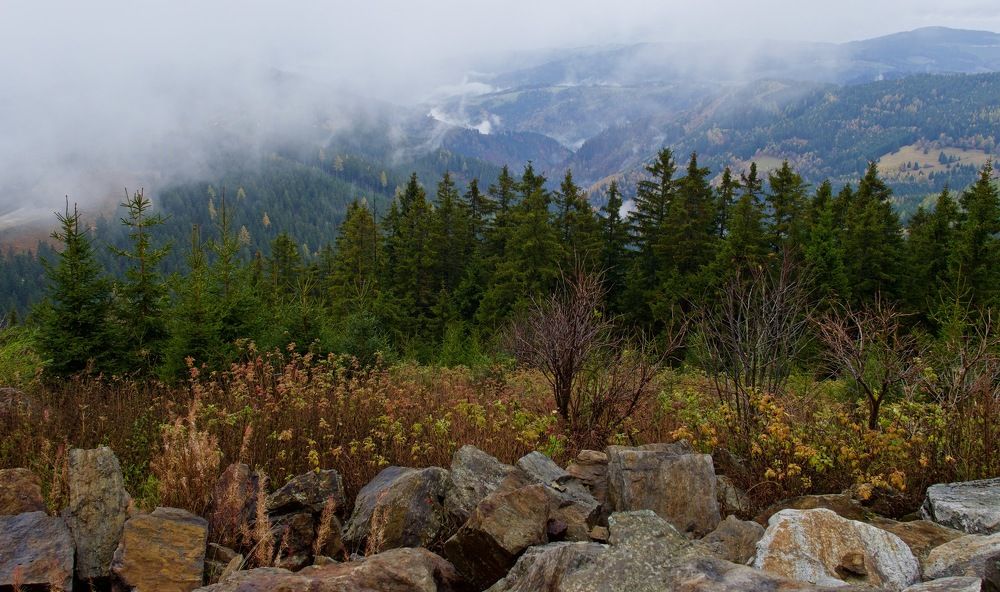 ... о цвете,тумане и горах...