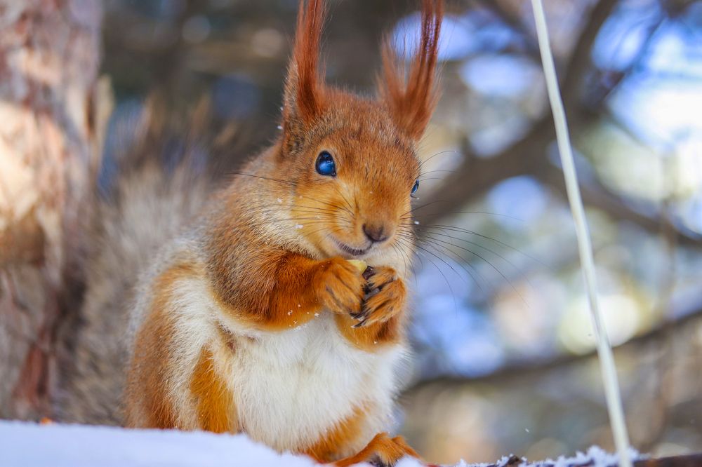 Фотография автора Dolli Pogrebnaya