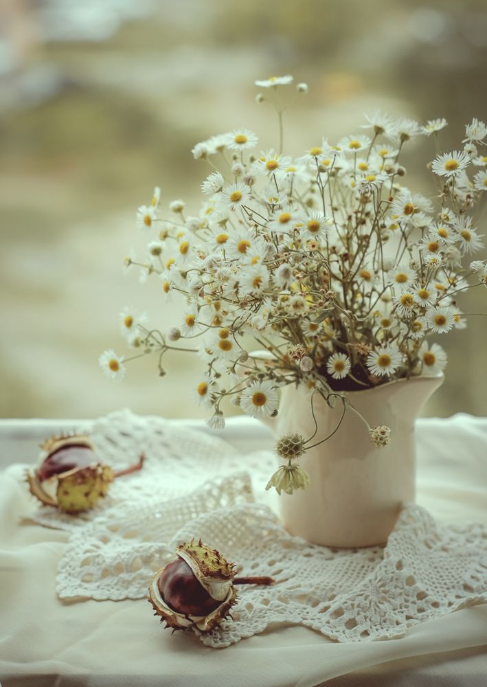 Дыхание осени