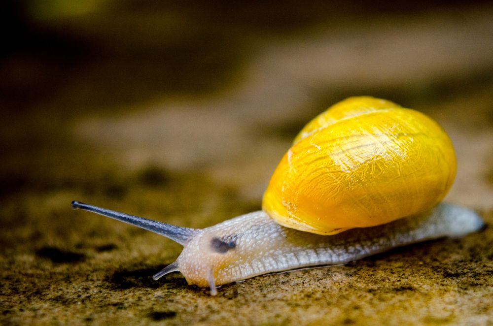 Photograph by Maryan Magola