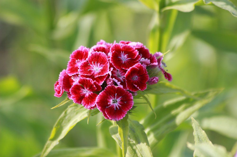Photograph by Флорис Закреев