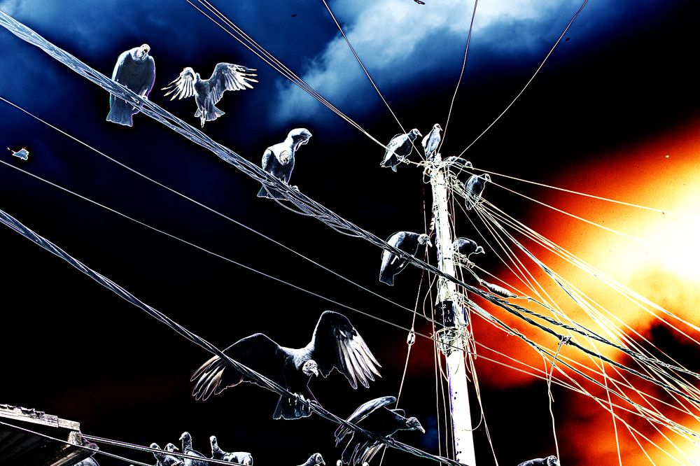 Photograph by Ollantay Sanchez Valle