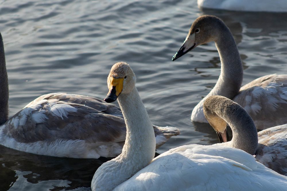 Photograph by Терентьев Георгий