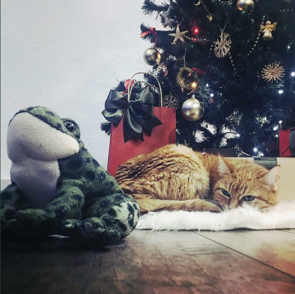 Photograph by Zzooouhh