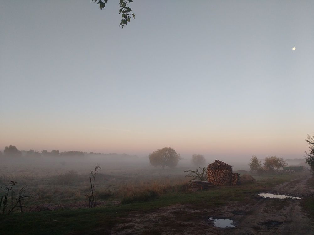 Деревня. 5 утра.