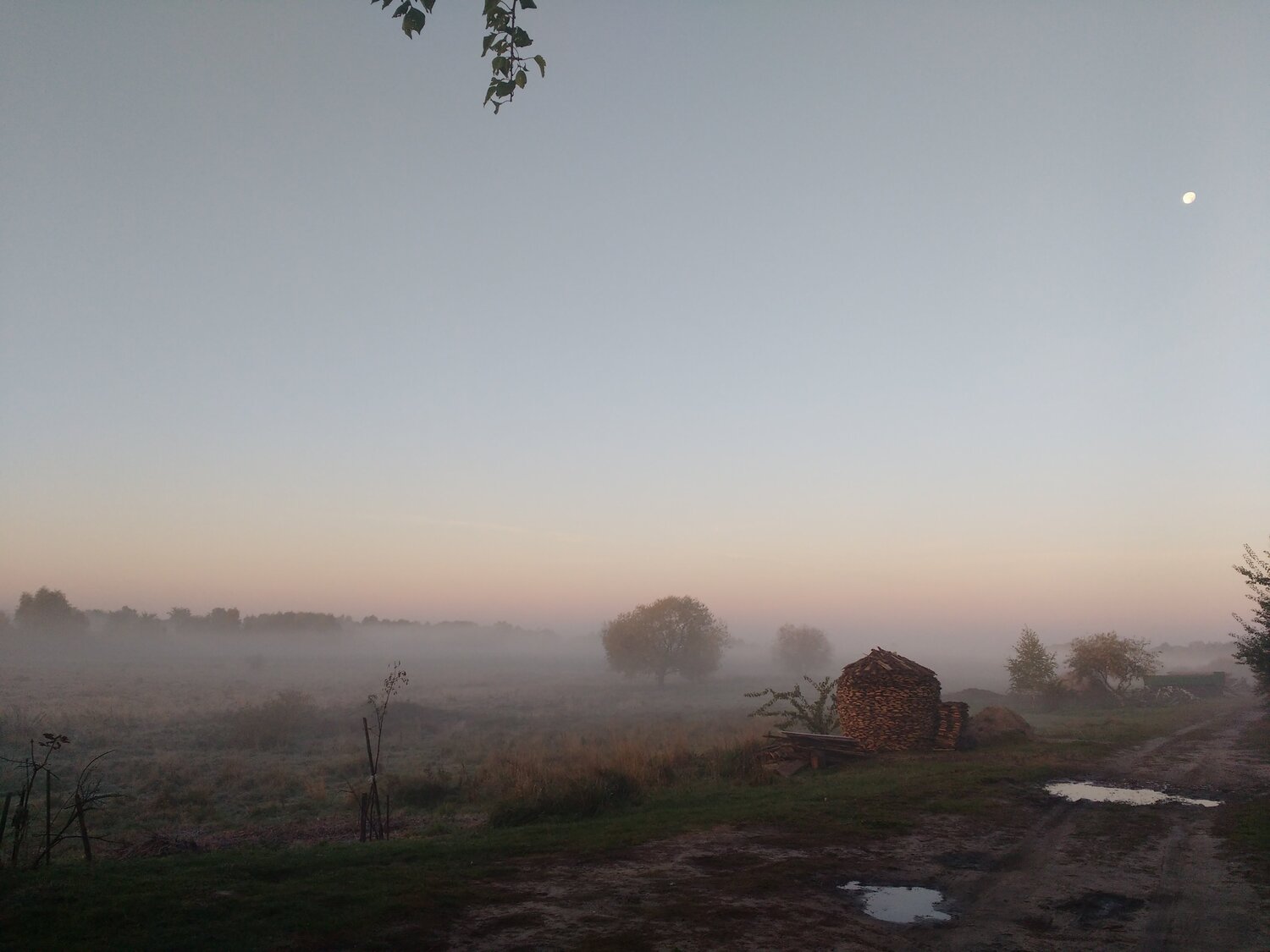Деревня. 5 утра. Деревня. 5 утра.